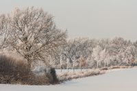 Winterlandschaft - Reinbek 2010
